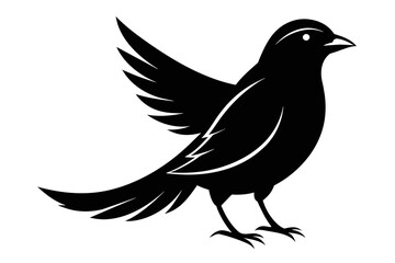 ilhouette color image,Echo bird ,vector illustration,white background