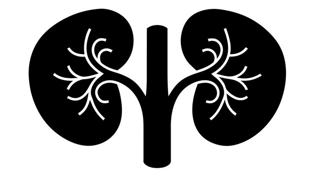recommend clip art: Optimizing Health Human Kidneys Vector Illustration 