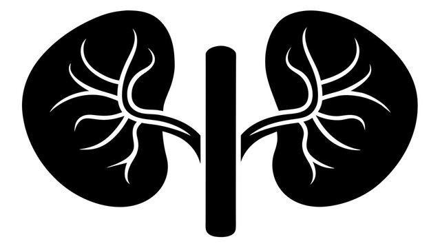 black kidneys anatomy, medical, health clip art preview