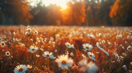 Fototapeta premium Stunning Autumn Field Filled with Wild Flowers Generative AI