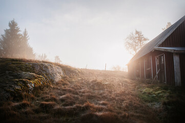 landscape in the morning in sweden