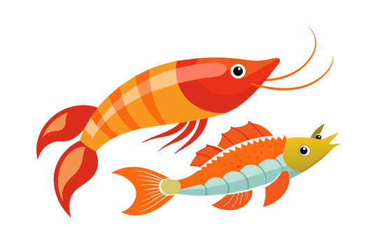 prawn fish flat illustration  on white background
