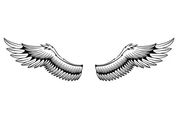 Wings sketch. Stylized birds wings. Hand drawn contoured stiker wing in open position. Vector design elements in coloring style