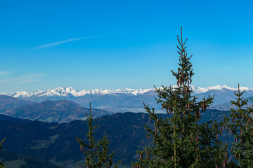 Close up on pine tree and conifer cones with panoramic view of snow capped mountain ridges of Woelzer Tauern seen from Grebenzen, Gurktal Alps, Styria, Austria. Calm serene atmosphere in Austrian Alps