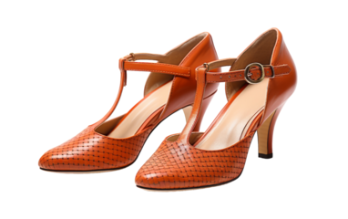 Two elegant womens shoes gracefully posed on a blank canvas