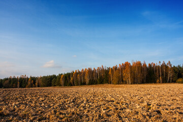 Arable field in autumn, agriculture in the countryside