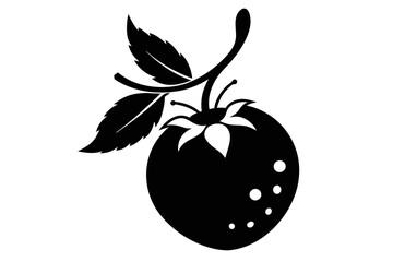  silhouette image,Berry,vector illustration,white background