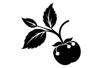  silhouette image,Berry,vector illustration,white background