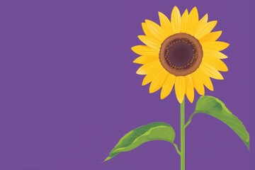 A single sunflower stands tall on a purple background, its yellow petals radiating like sunshine.