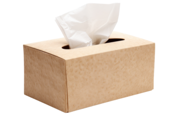 A tissue dispenser resting snugly in a cardboard box