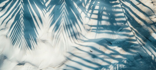 Top view of tropical leaf shadow on water surface. Shadow of palm leaves on white sand beach. Beautiful abstract background concept banner for summer vacation at the beach