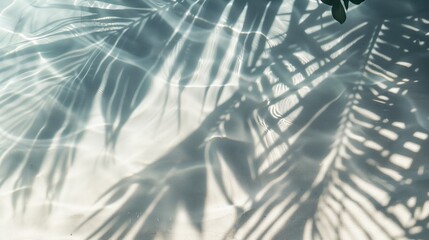 Top view of tropical leaf shadow on water surface. Shadow of palm leaves on white sand beach. Beautiful abstract background concept banner for summer vacation at the beach
