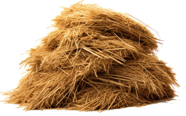 A mound of golden hay rests atop a pristine white floor