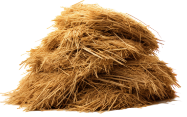 A mound of golden hay rests atop a pristine white floor