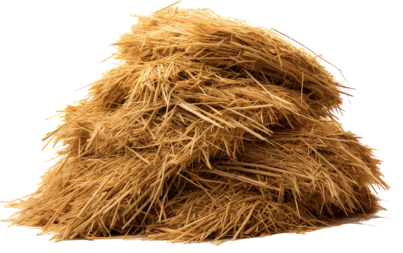 A mound of golden hay rests atop a pristine white floor
