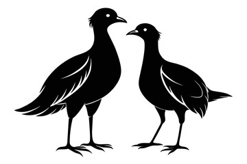 silhouette image,Bruno bird ,vector illustration,white background