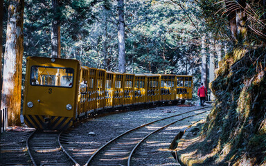In a winter morning, the bumpy train of forestry railway in National Mt. Taiping Forest Park of...