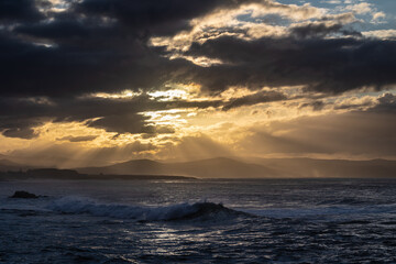 Obraz premium Nature never stops surprising me!