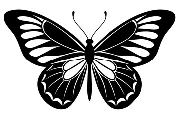 butterfly vector illustration