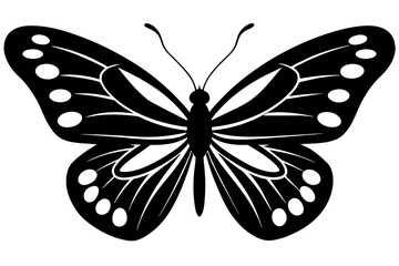 butterfly vector illustration