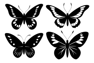 butterfly vector illustration