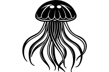 jellyfish vector illustration