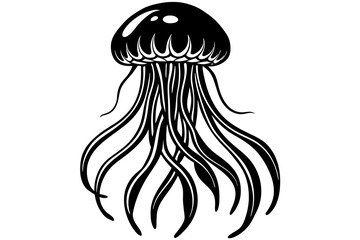 jellyfish vector illustration