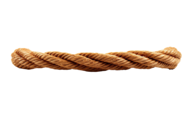 A single rope elegantly curves on a white backdrop
