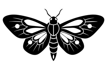 moth silhouette vector illustration