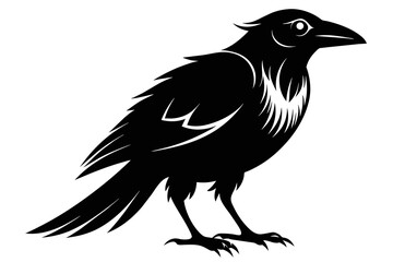  silhouette image,Dewey bird,vector illustration,white background