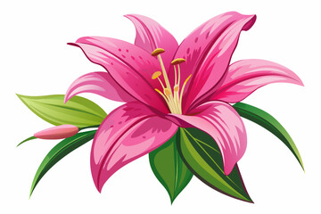 create a realistic flowers of lily in shocking pink color