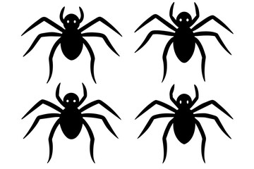 spider vector illustration