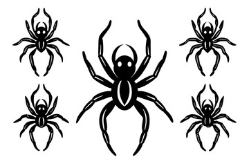 spider vector illustration