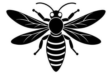 wasp vector illustration