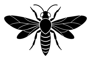 wasp vector illustration