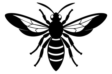 wasp vector illustration