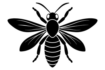 wasp vector illustration