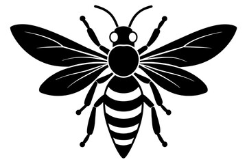 wasp vector illustration