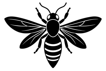 wasp vector illustration