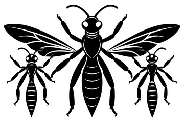 wasp vector illustration