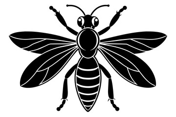 wasp vector illustration