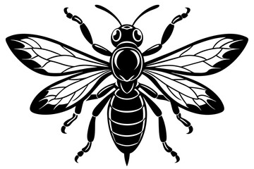 wasp vector illustration