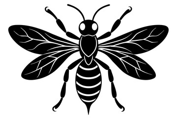 wasp vector illustration