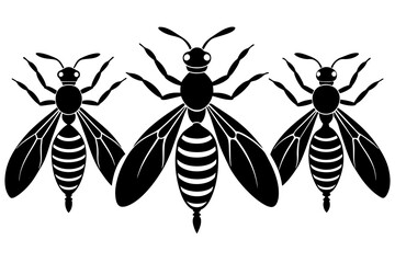 wasp vector illustration