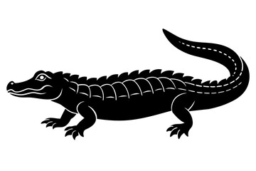  alligator vector illustration