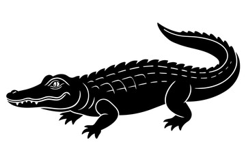  alligator vector illustration
