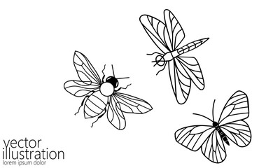Line art butterfly bee and dragonfly. Nature beauty organic cosmetics concept. Ecology environment solution silhouette design. One sketch outline drawing vector illustration