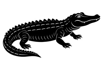 alligator vector illustration
