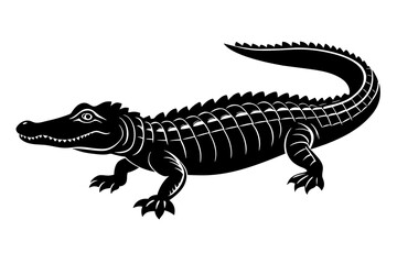  alligator vector illustration