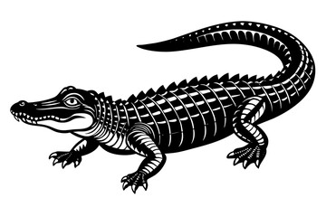  alligator vector illustration